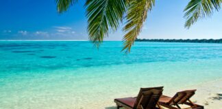 Test & Go tillbaka från 1 Feb.