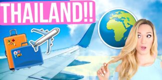 Inga nya ansökningar på Test & Go, vad händer nu?