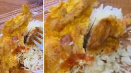 Lämnar omedelbart när  han gör fyndet i maten