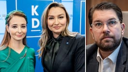 Busch om Åkesson: ”Så skriver man inte”