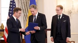 Klart: Sverige medlem i Nato