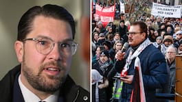 SD: El-Haj kan släppa in Hamas i Sveriges riksdag