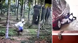 Flyr direkt när han ser vad som närmar sig