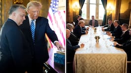 Trumps möte med Orbán: ”Han är bossen”