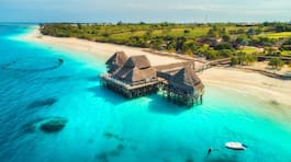 Åt sköldpadda – nio personer dog