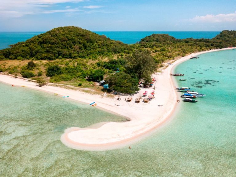 Koh Samui: Pig Island Tour med Speedboat & Snorkeling