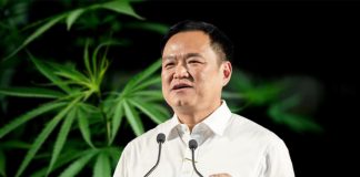 ”Cannabisministern” tar över makten, en övergångsregering med villkor