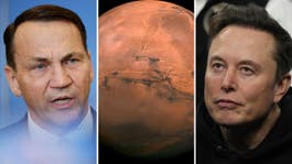 EU-ilskan mot Elon Musk: ”Åk till Mars”