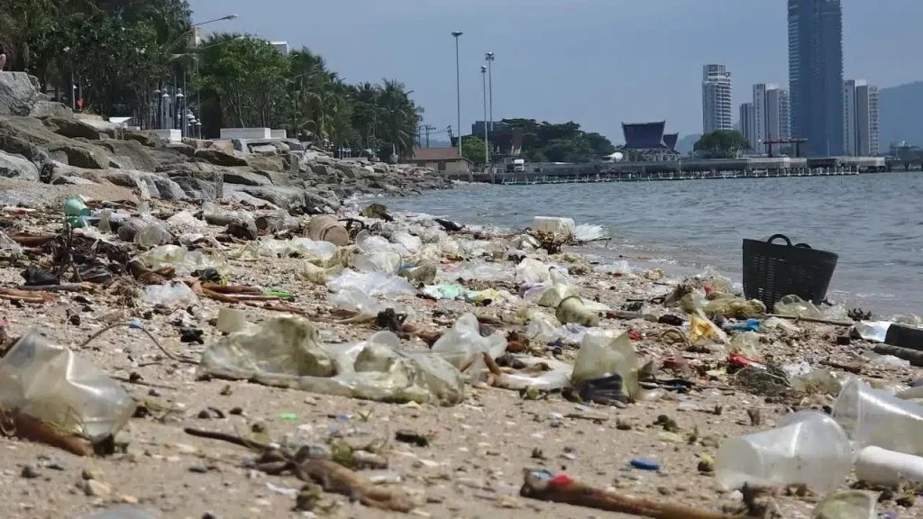 Närbild på plastflaskor, påsar och drivved längs vattenlinjen med höghus i bakgrunden